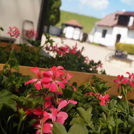 Hotel A Hostinec Talsky Mlyn Žďár nad Sázavou Exterior foto