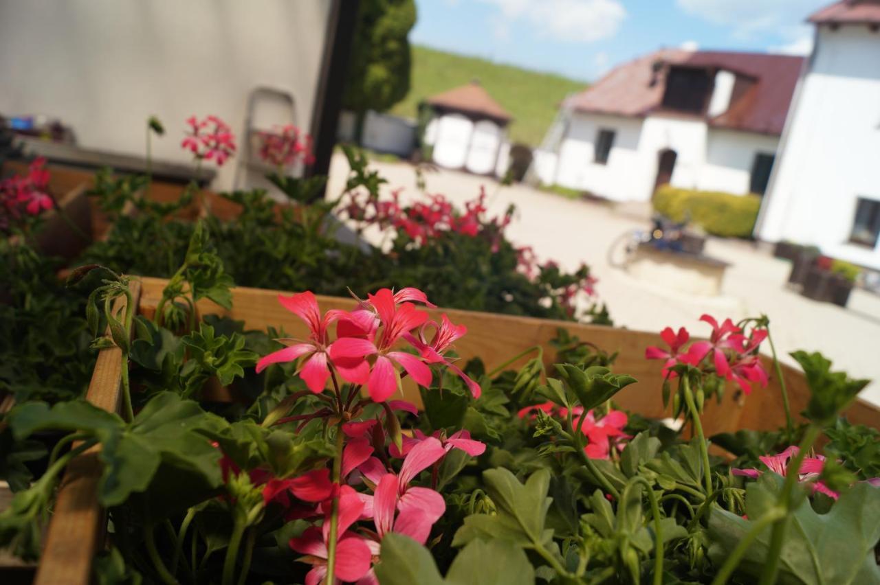 Hotel A Hostinec Talsky Mlyn Žďár nad Sázavou Exterior foto
